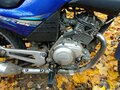 2009 Yamaha YBR125, синий - вид 9