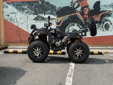 2026 Tiger Max Grade 300, чёрный, 314400 рублей, вид 3