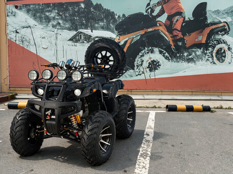 2026 Tiger Max Grade 300, чёрный, 297400 рублей, вид 2