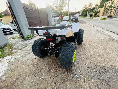 2024 Motoland Wild 125, белый, 105000 рублей, вид 5