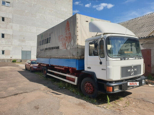 1994 MAN 18, белый, 679239 рублей