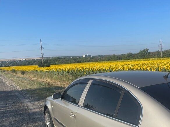 2004 Skoda Superb I, бежевый, 420000 рублей - вид 16