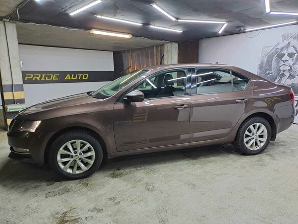 2018 Skoda Octavia III (A7) Рестайлинг, коричневый, 1630000 рублей - вид 6
