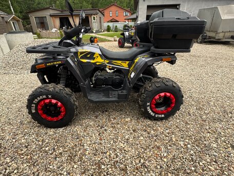 2021 Wild Panther 8x8, серый, 150000 рублей, вид 2