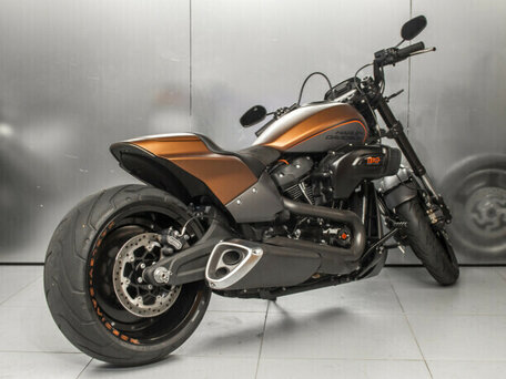 2019 Harley-Davidson FXDR 114, коричневый, 1580221 рублей, вид 3
