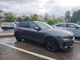 2025 Voyah Free 318 I Рестайлинг, серый, 4840000 рублей, вид 5