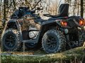 2025 AODES (Odes) Pathcross 1000 Mud Pro, коричневый, 1507000 рублей