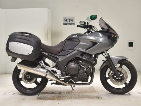 2010 Yamaha TDM900, серый, 545000 рублей, вид 2
