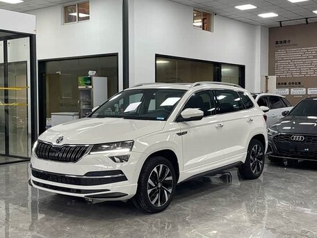 Skoda Karoq I
