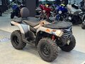 2022 Loncin XWolf 300, серебристый, 320000 рублей - вид 5