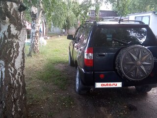 2010 Vortex Tingo I, синий, 420000 рублей, вид 4