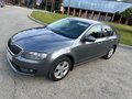2016 Skoda Octavia III (A7), серый - вид 1