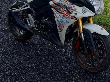 2014 S2 Motors Panther CBR250, белый, 85000 рублей, вид 2