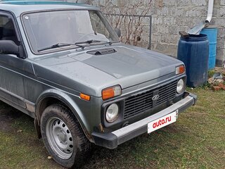 2010 Lada (ВАЗ) 2131 (4x4) I, серый, 350000 рублей, вид 2