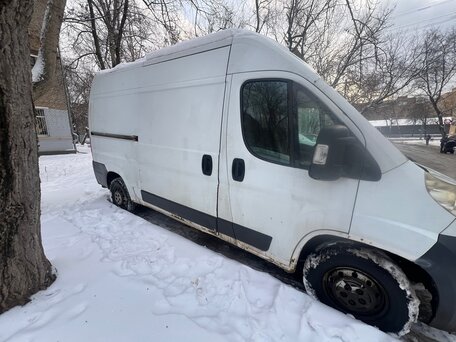 2008 Fiat Professional Ducato, белый, 920000 рублей, вид 2