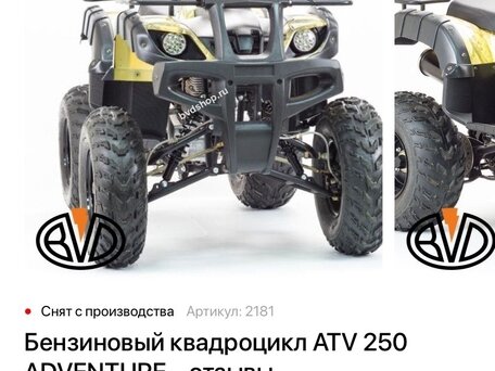 2019 Motoland ATV 250 Adventure, серый, 110000 рублей, вид 3