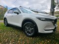 2019 Mazda CX-5 II, белый, 2550000 рублей - вид 6