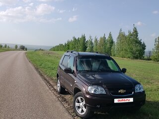 2014 Chevrolet Niva I Рестайлинг, коричневый, 800000 рублей, вид 2