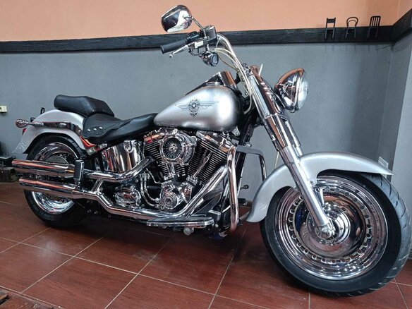 2009 Harley-Davidson Fat Boy, серый, 870000 рублей - вид 26