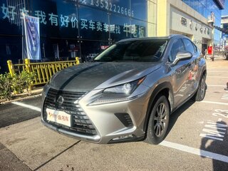 2020 Lexus NX 200 I Рестайлинг, серебристый, 3329666 рублей, вид 1