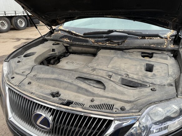 2009 Lexus RX 450h III, чёрный, 1950000 рублей - вид 11