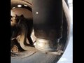 2007 Kogel SN24, серый, 1600000 рублей - вид 6