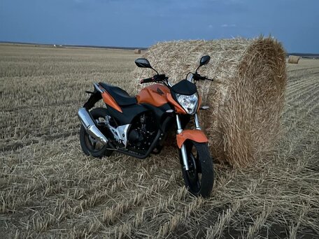 2014 Stels Flex 250, оранжевый, 135000 рублей, вид 3