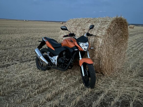 2014 Stels Flex 250, оранжевый, 135000 рублей - вид 2