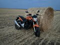 2014 Stels Flex 250, оранжевый, 135000 рублей - вид 2