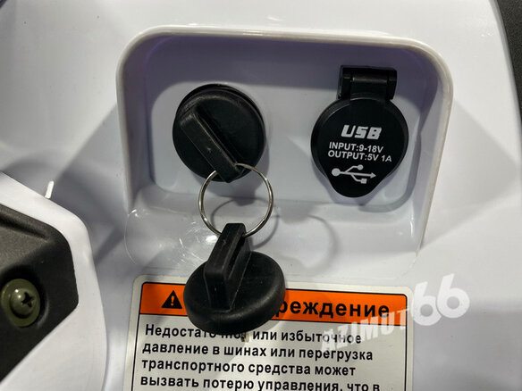 2025 Bashan Explorer 320, белый, 499000 рублей - вид 16