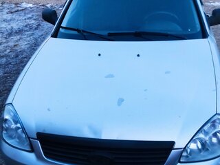 2010 Lada (ВАЗ) Priora I, серебристый, 170000 рублей, вид 2