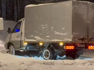 2002 ГАЗ ГАЗель (3302), белый, 300000 рублей, вид 5