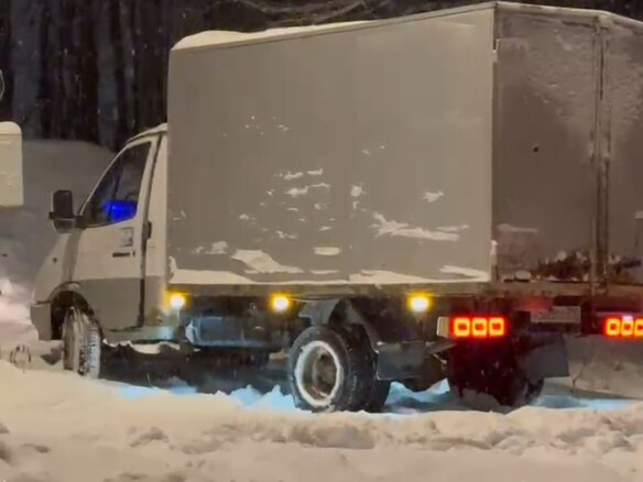 2002 ГАЗ ГАЗель (3302), белый, 300000 рублей - вид 4
