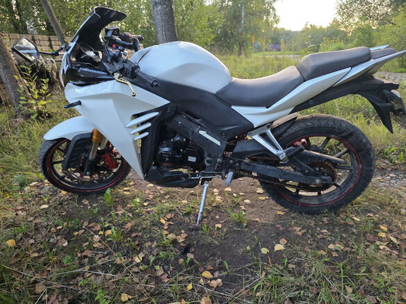 2014 S2 Motors Panther CBR250, белый, 110000 рублей - вид 6
