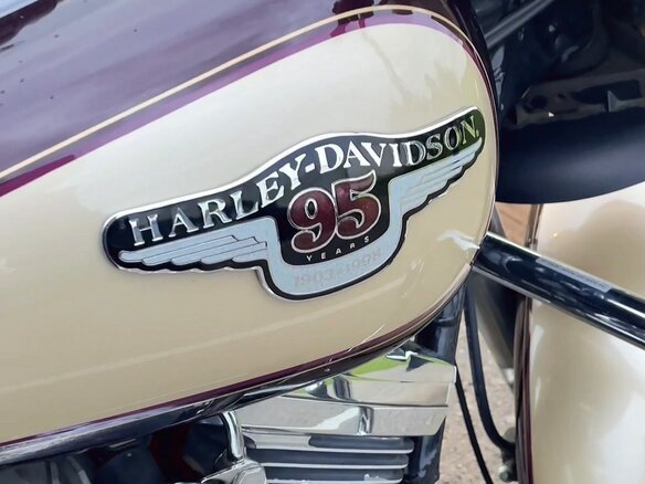 1998 Harley-Davidson Electra Glide, коричневый, 850000 рублей - вид 6