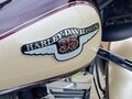 1998 Harley-Davidson Electra Glide, коричневый, 850000 рублей - вид 6