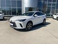 2026 Lexus RX 300 V, белый, 8490000 рублей