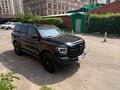 2024 Tank 500 I, чёрный - вид 4