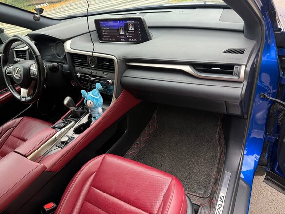 2018 Lexus RX 300 IV, синий, 3650000 рублей - вид 17