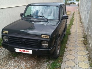 2013 Lada (ВАЗ) 2121 (4x4) I Рестайлинг, зелёный, 550000 рублей, вид 2