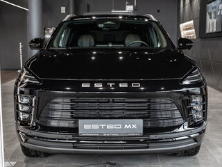 2026 Esteo MX, чёрный, 4290000 рублей, вид 4
