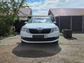 2019 Skoda Octavia III (A7) Рестайлинг, белый, 1750000 рублей