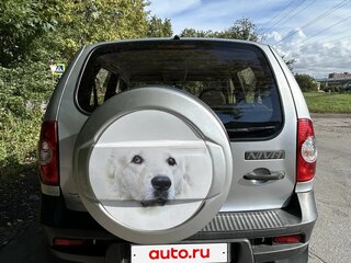 2011 Chevrolet Niva I Рестайлинг, серебристый, 455000 рублей, вид 5