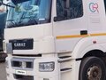 2015 КамАЗ 5490, белый, 2400000 рублей - вид 7