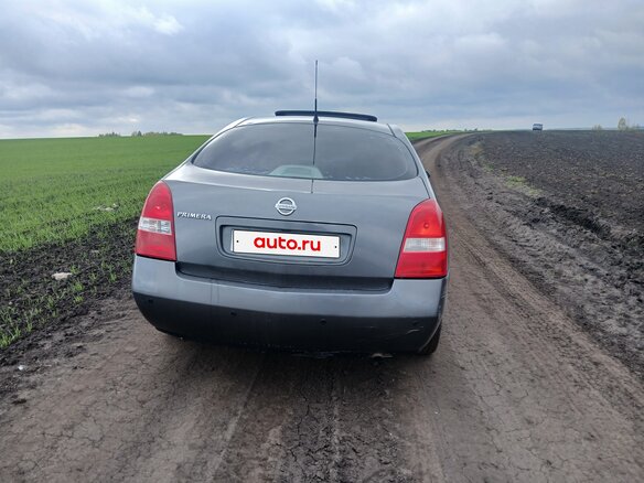 2003 Nissan Primera III (P12), серый - вид 2