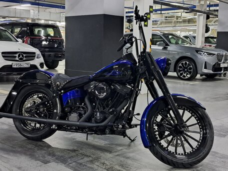 1992 Harley-Davidson Heritage Classic, синий, 2530000 рублей, вид 2