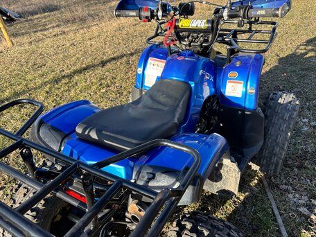 2024 Motoland ATV 125 Fox, синий, 75000 рублей, вид 5