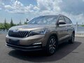 2022 Skoda Kamiq GT I (China Market), коричневый, 1590000 рублей