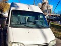 2011 Fiat Professional Ducato, белый, 1700000 рублей