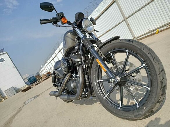 2019 Harley-Davidson Sportster 883, серый - вид 1
